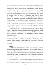 Produkto darymo proceso valdymo praktika: UAB "Sintegra" 13 puslapis