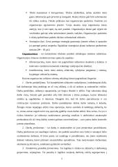 Produkto darymo proceso valdymo praktika: UAB "Sintegra" 6 puslapis