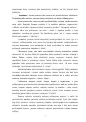 Produkto darymo proceso valdymo praktika: UAB "Sintegra" 8 puslapis