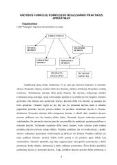 Produkto darymo proceso valdymo praktika: UAB "Sintegra" 10 puslapis