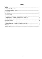 R.P. Uit Beijerse "Žinių vadyba. Samprotavimai apibrėžiantys ir leidžiantys suvokti šią sąvoką" 2 puslapis
