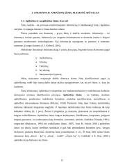 R.P. Uit Beijerse "Žinių vadyba. Samprotavimai apibrėžiantys ir leidžiantys suvokti šią sąvoką" 12 puslapis