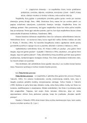 R.P. Uit Beijerse "Žinių vadyba. Samprotavimai apibrėžiantys ir leidžiantys suvokti šią sąvoką" 14 puslapis