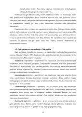 R.P. Uit Beijerse "Žinių vadyba. Samprotavimai apibrėžiantys ir leidžiantys suvokti šią sąvoką" 16 puslapis