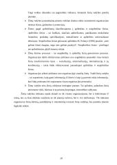 R.P. Uit Beijerse "Žinių vadyba. Samprotavimai apibrėžiantys ir leidžiantys suvokti šią sąvoką" 20 puslapis