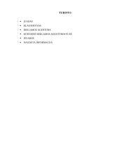 Reklamos agentūros kūrybinis skyrius ir reklamos kūryba 2 puslapis