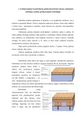 Remonto darbai 2 puslapis