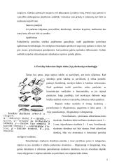 Remonto darbai 5 puslapis