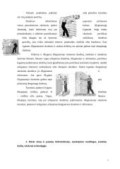 Remonto darbai 7 puslapis