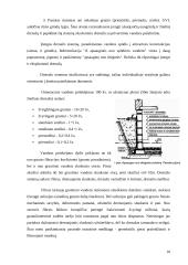 Remonto darbai 10 puslapis