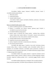 Rietavo savivaldybės 2003-2006 metų biudžeto pajamų analizė 4 puslapis