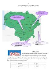 Įmonės marketingo elementai 7 puslapis