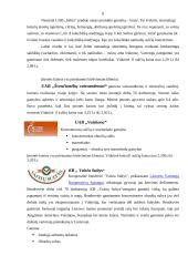 Įmonės marketingo elementai 8 puslapis