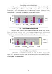 Rinkodara: odiniai gaminiai moterims UAB "Moda" 10 puslapis