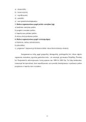 Rinkodaros analizė: saldainių gamyba UAB "Šokolado simfonija" 13 puslapis