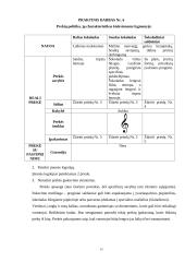 Rinkodaros analizė: saldainių gamyba UAB "Šokolado simfonija" 15 puslapis