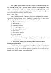 Rinkodaros analizė: saldainių gamyba UAB "Šokolado simfonija" 7 puslapis