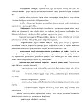 Rinkodaros samprata ir jos reikšmė įmonės veikloje: picerija "Submarinas" 9 puslapis