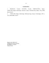 Rinkorados analizė: sulčių gamyba UAB "Šaltinis" 15 puslapis