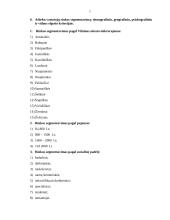 Rinkorados analizė: sulčių gamyba UAB "Šaltinis" 7 puslapis