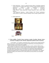 Rinkorados analizė: sulčių gamyba UAB "Šaltinis" 10 puslapis