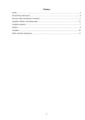 Rinkos struktūros ir įmonių elgsenos bei veiklos rodiklių sąveika 2 puslapis