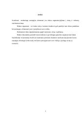 Rinkos struktūros ir įmonių elgsenos bei veiklos rodiklių sąveika 3 puslapis