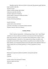 Rinkos struktūros ir įmonių elgsenos bei veiklos rodiklių sąveika 7 puslapis