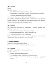 Rytų senovės mąstytojų vadovavimo ypatumai 14 puslapis