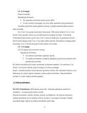 Rytų senovės mąstytojų vadovavimo ypatumai 7 puslapis