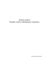 Rizikos analizė: projekto vadovo reikalaujamas stropumas