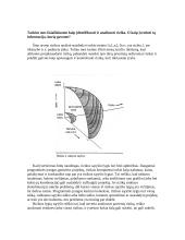 Rizikos analizė: projekto vadovo reikalaujamas stropumas 11 puslapis