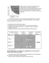 Rizikos analizė: projekto vadovo reikalaujamas stropumas 12 puslapis