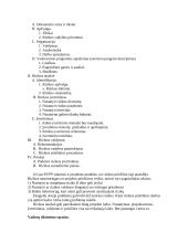 Rizikos analizė: projekto vadovo reikalaujamas stropumas 14 puslapis