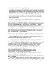 Rizikos analizė: projekto vadovo reikalaujamas stropumas 3 puslapis