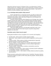 Rizikos analizė: projekto vadovo reikalaujamas stropumas 4 puslapis