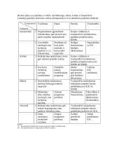 Rizikos analizė: projekto vadovo reikalaujamas stropumas 9 puslapis