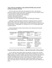 Rizikos analizė: projekto vadovo reikalaujamas stropumas 10 puslapis