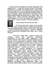 Roko muzikos bruožai 4 puslapis