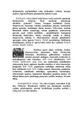 Roko muzikos bruožai 5 puslapis