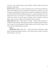 Rusnės ir Gargždų varliagyviai ir ropliai 3 puslapis