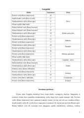 Rusnės ir Gargždų varliagyviai ir ropliai 5 puslapis