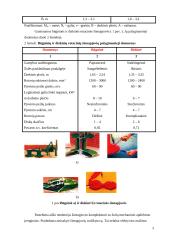 Savaeigės šienapjovės 2 puslapis