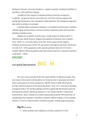 Savaeigės šienapjovės 3 puslapis