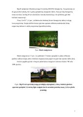 Savaeigės šienapjovės 6 puslapis