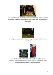 Savaeigės šienapjovės 7 puslapis