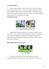 Savaeigės šienapjovės 9 puslapis