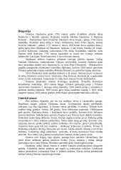 Simono Daukanto biografija bei darbas 2 puslapis