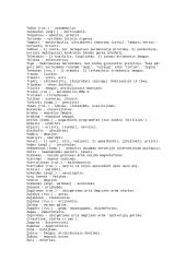 Slengas – kas tai? 11 puslapis