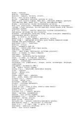 Slengas – kas tai? 4 puslapis